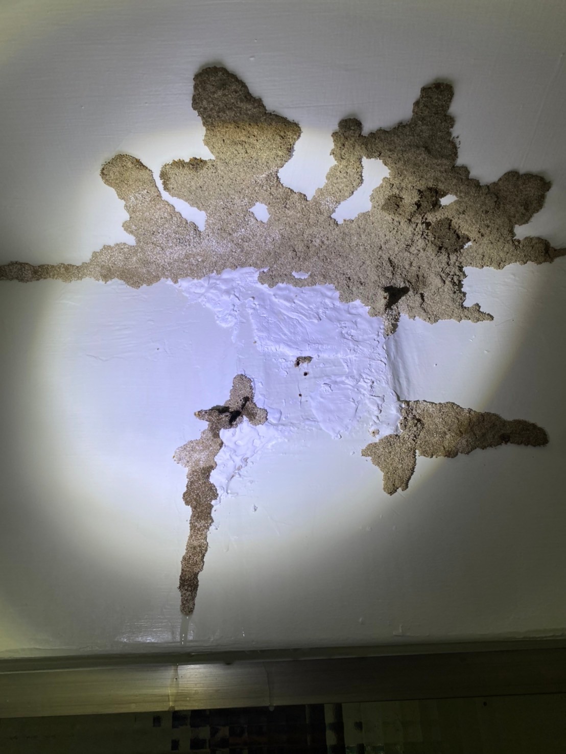 Ho消毒有限公司的實際案例圖片